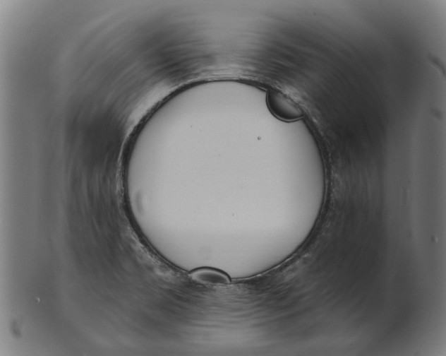 X0000100871469200807111306