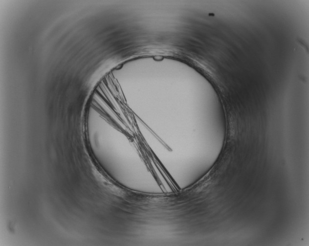 X0000100871471200807111306