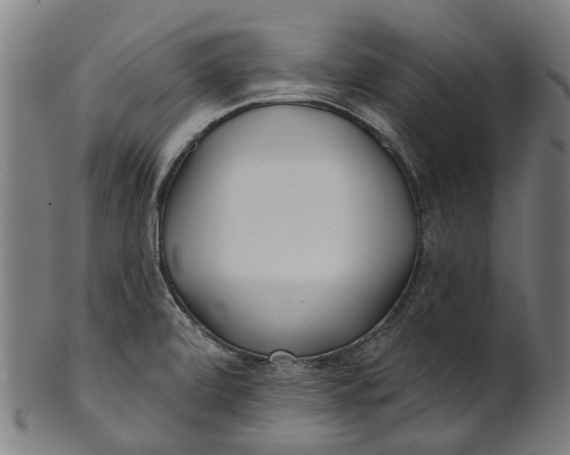 X0000100871472200807111306