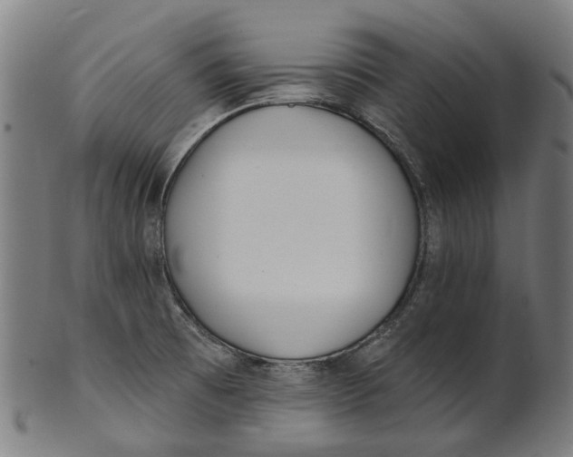 X0000100871473200807111306