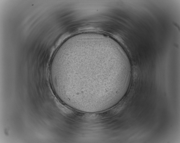 X0000100871474200807111306