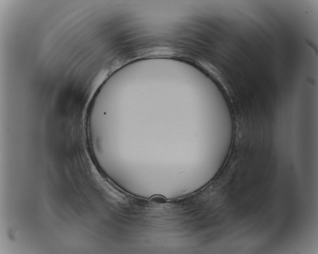 X0000100871475200807111306