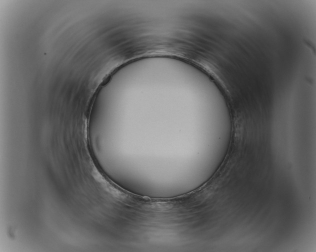 X0000100871476200807111305