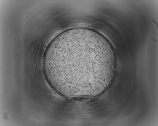 X0000100871477200807111305