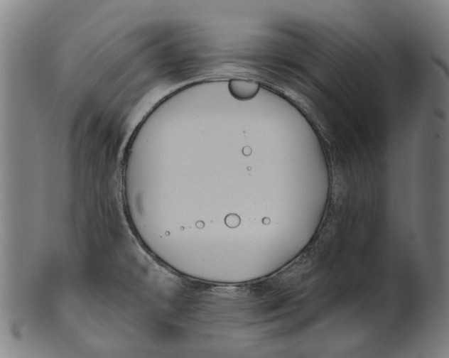 X0000100871478200807111305