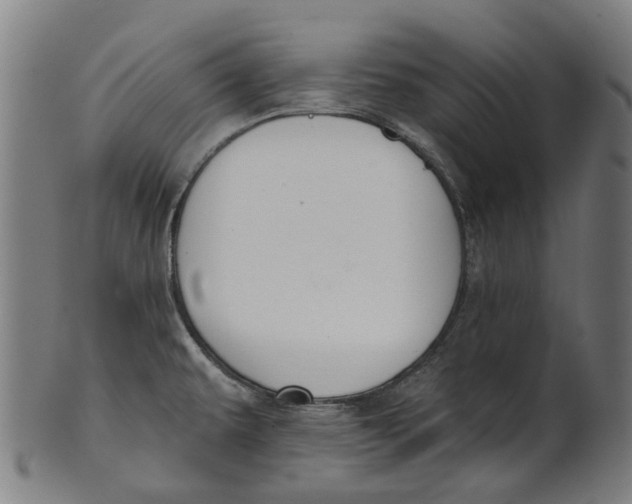 X0000100871479200807111305