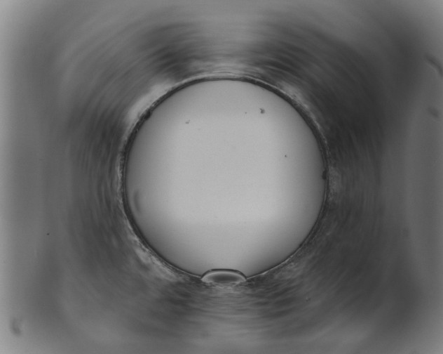 X0000100871480200807111305