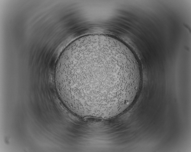 X0000100871481200807111305