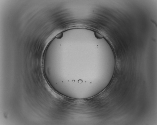 X0000100871482200807111305