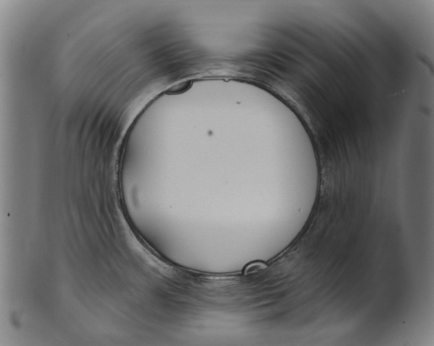 X0000100871483200807111305