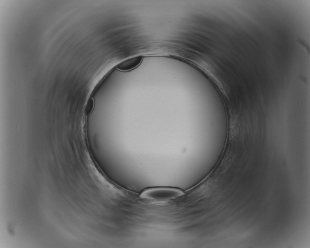 X0000100871484200807111305