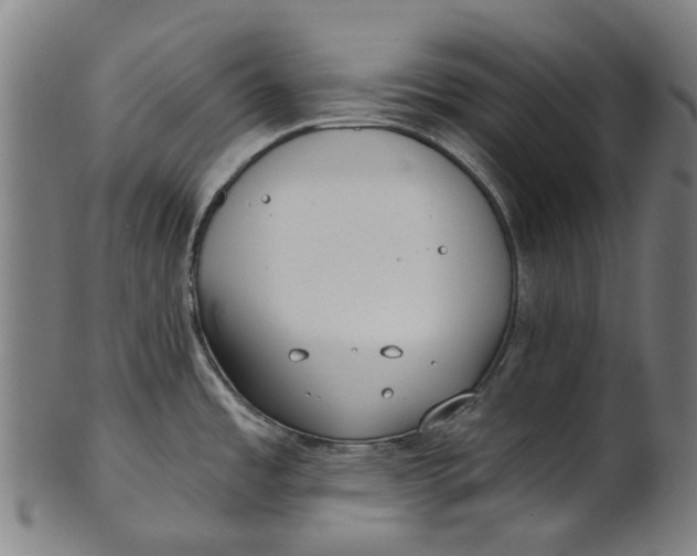 X0000100871485200807111305