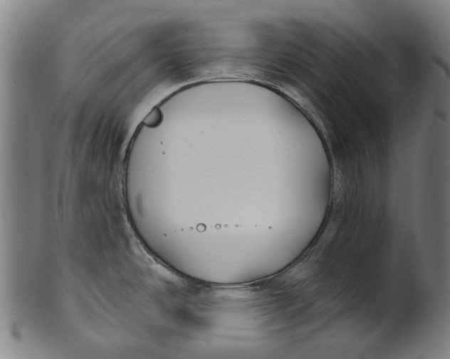 X0000100871486200807111305