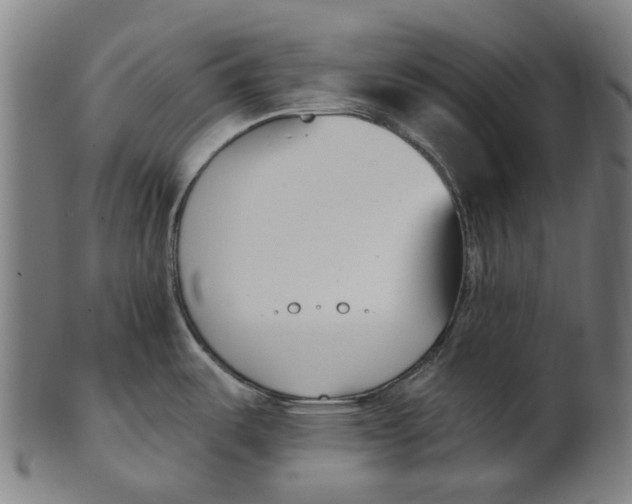 X0000100871487200807111305