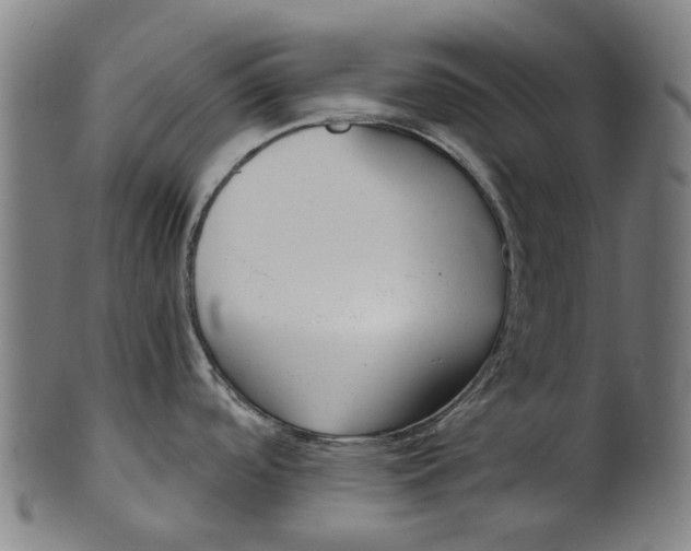 X0000100871488200807111305