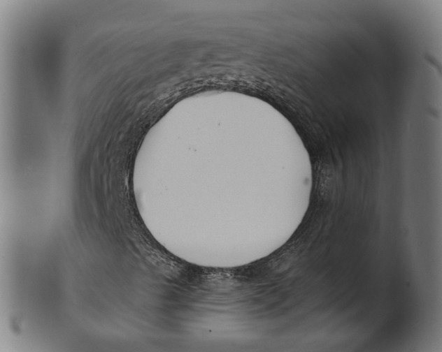 X0000100871489200807111304