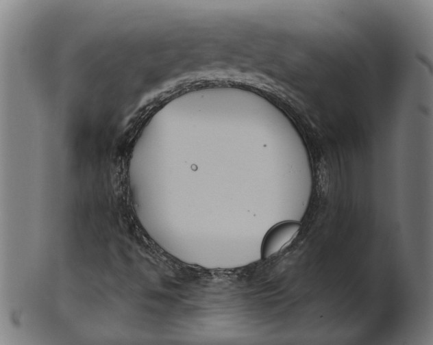 X0000100871494200807111305