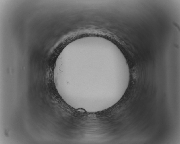 X0000100871495200807111305