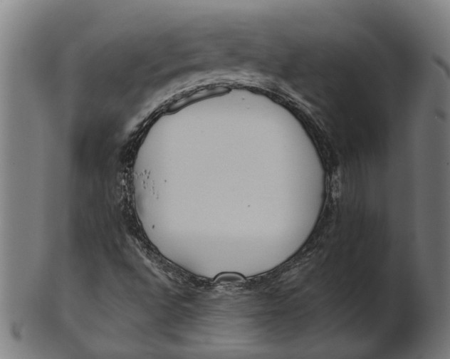 X0000100871496200807111305