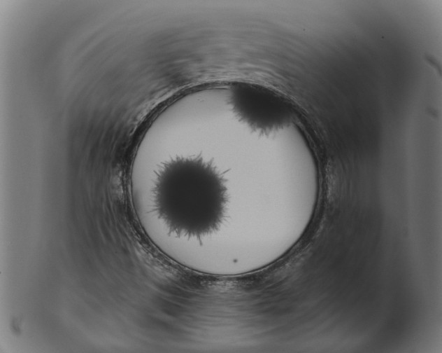 X0000100871497200807111305