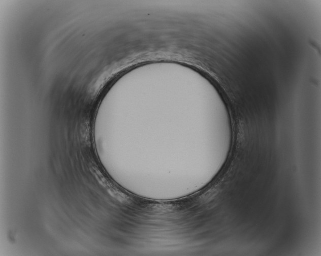 X0000100871499200807111305