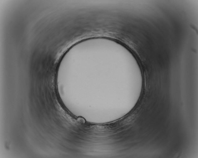 X0000100871500200807111305