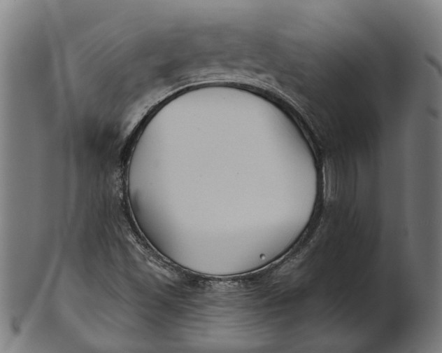 X0000100871501200807111305