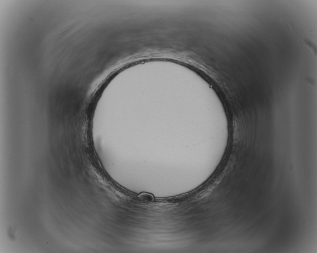 X0000100871502200807111305