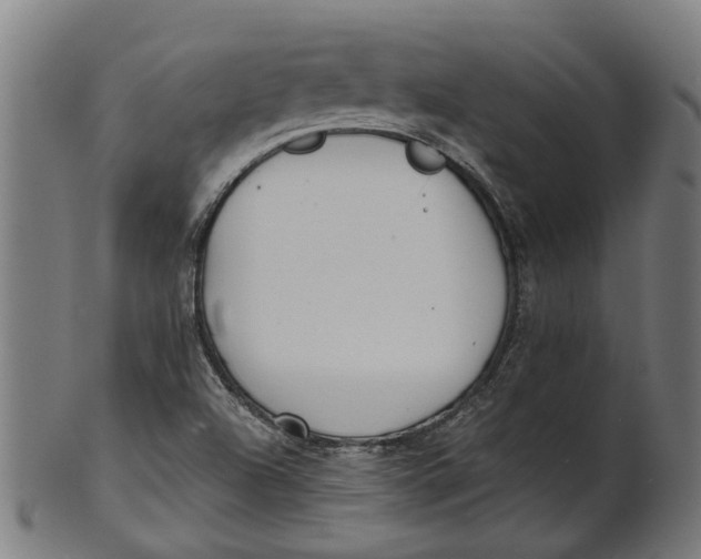 X0000100871504200807111305