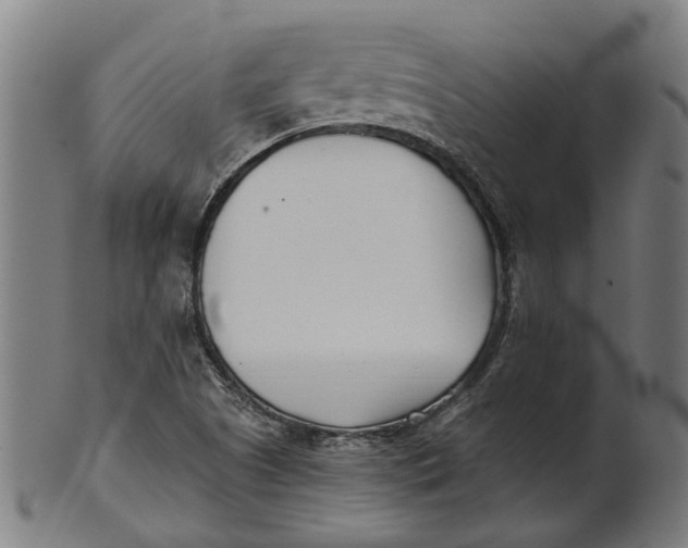 X0000100871505200807111305