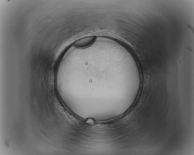 X0000100871506200807111305