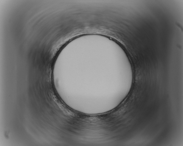 X0000100871507200807111305