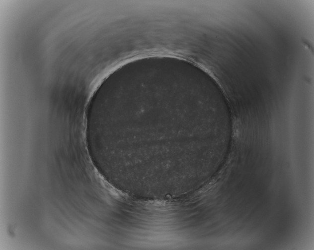 X0000100871508200807111305