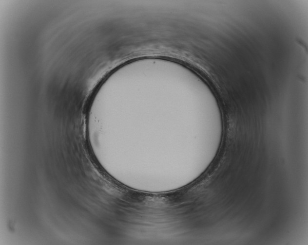 X0000100871509200807111305