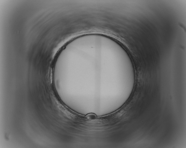 X0000100871510200807111305