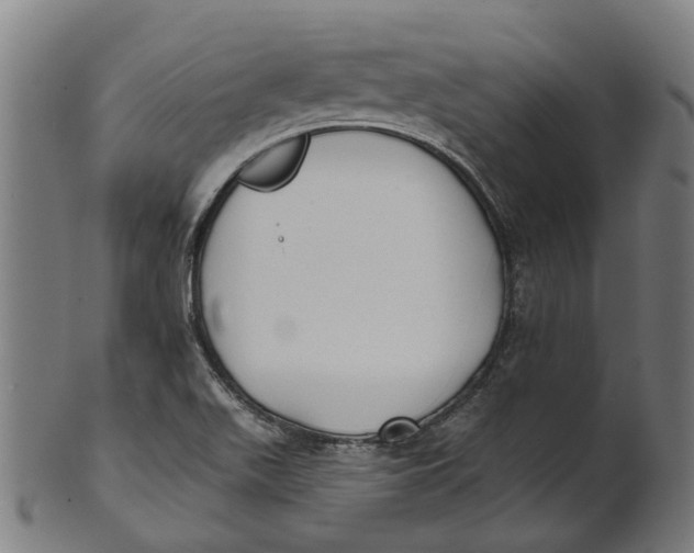 X0000100871511200807111305