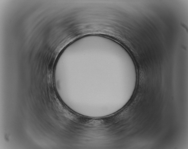 X0000100871513200807111305