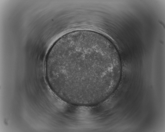 X0000100871514200807111305