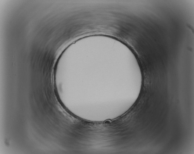 X0000100871516200807111305