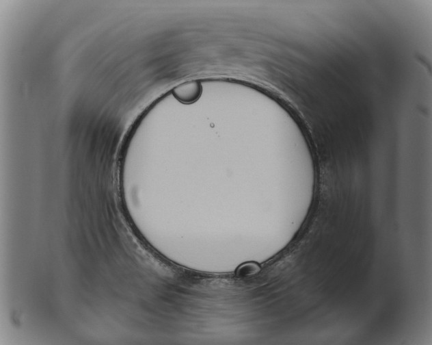 X0000100871517200807111305