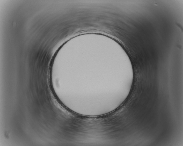 X0000100871518200807111305