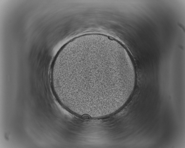 X0000100871519200807111305