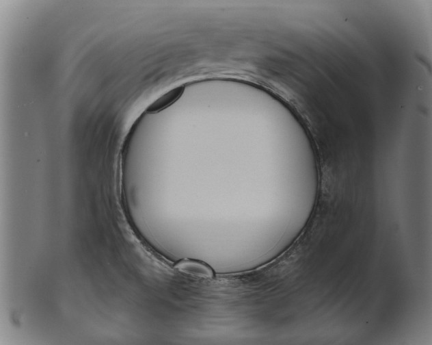 X0000100871520200807111305