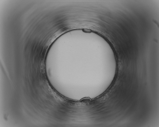 X0000100871521200807111305