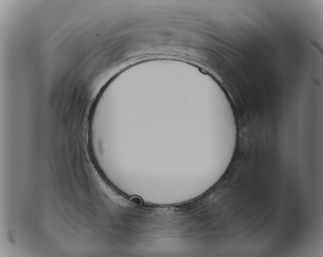 X0000100871523200807111305