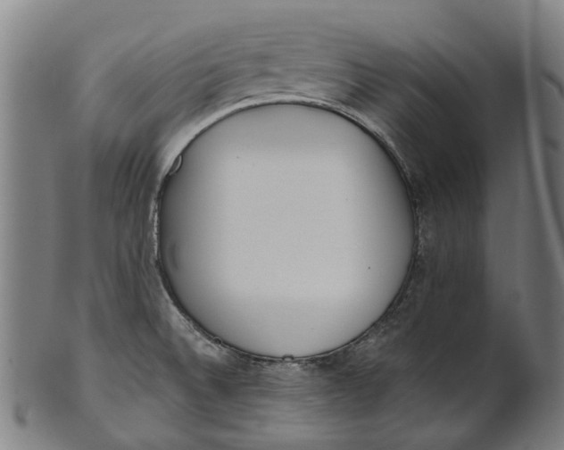 X0000100871524200807111305