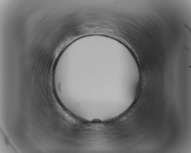 X0000100871525200807111305