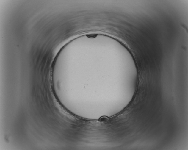 X0000100871526200807111305