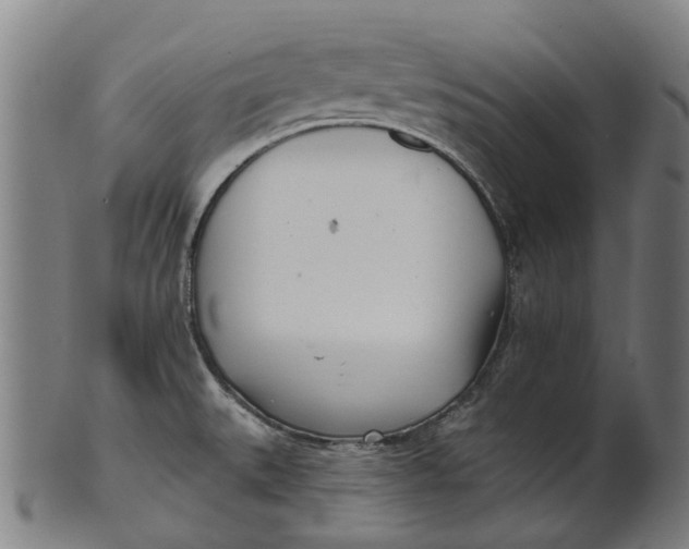 X0000100871527200807111305