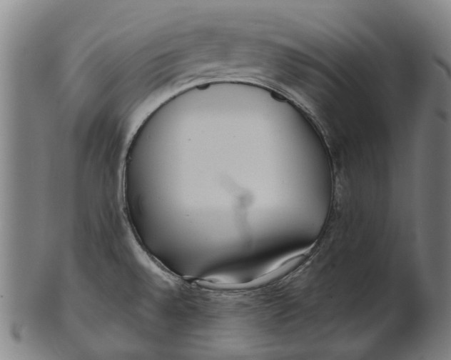 X0000100871528200807111305